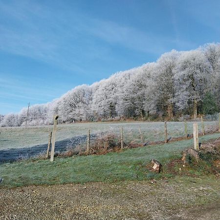 Gite En Lisiere De Foret Andaine Perrou Exterior foto
