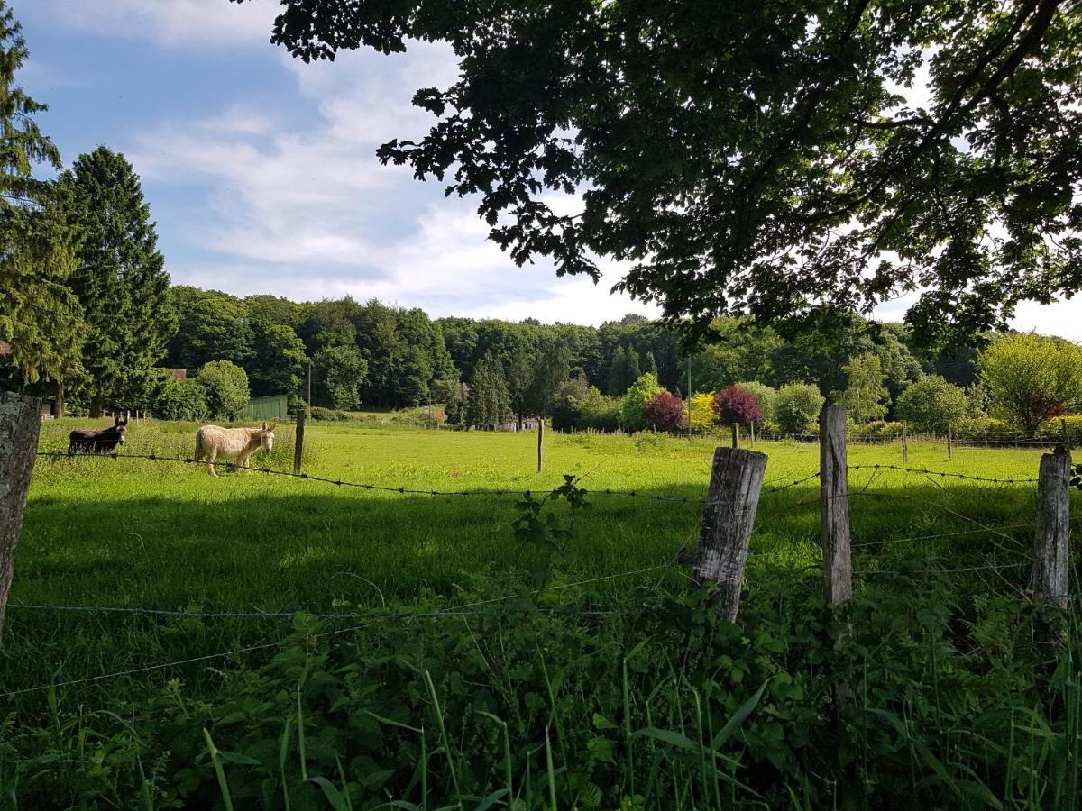 Gite En Lisiere De Foret Andaine Perrou Exterior foto